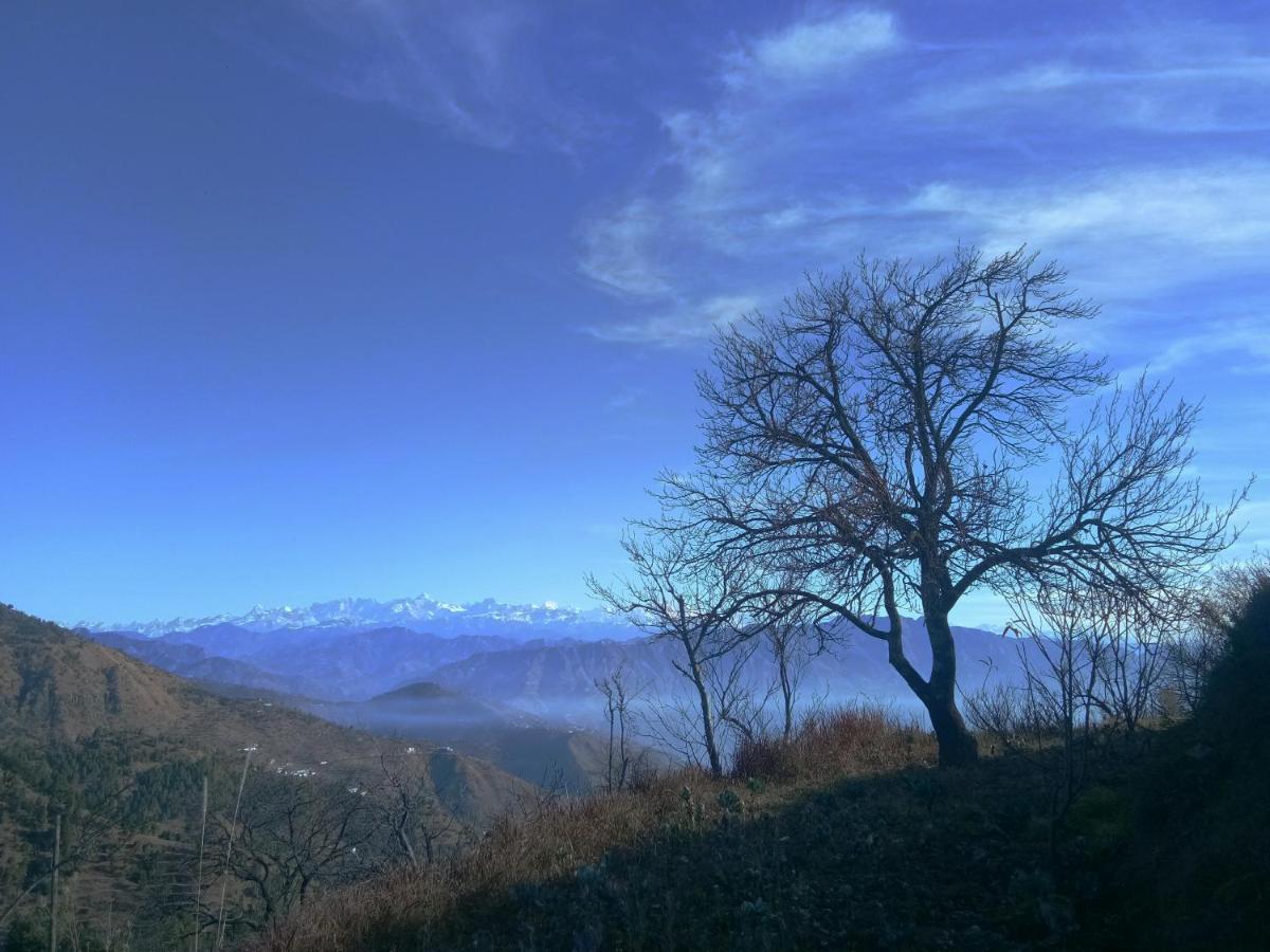 In Apple Estate Kanatal - Himalayan View Resort With Courteous Staff Exterior photo