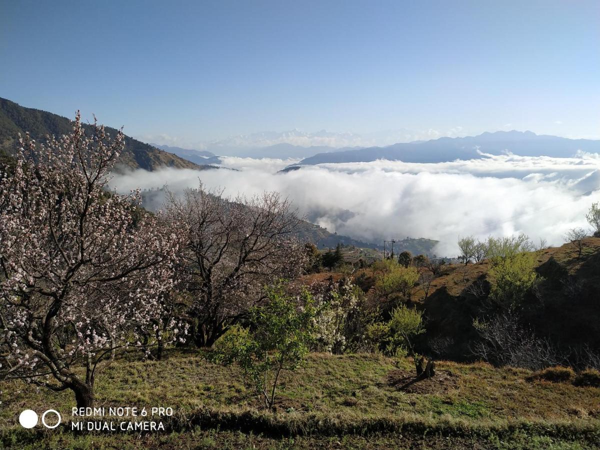 In Apple Estate Kanatal - Himalayan View Resort With Courteous Staff Exterior photo